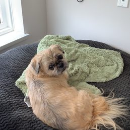 Best doggie-ever. Best doggie-ever.