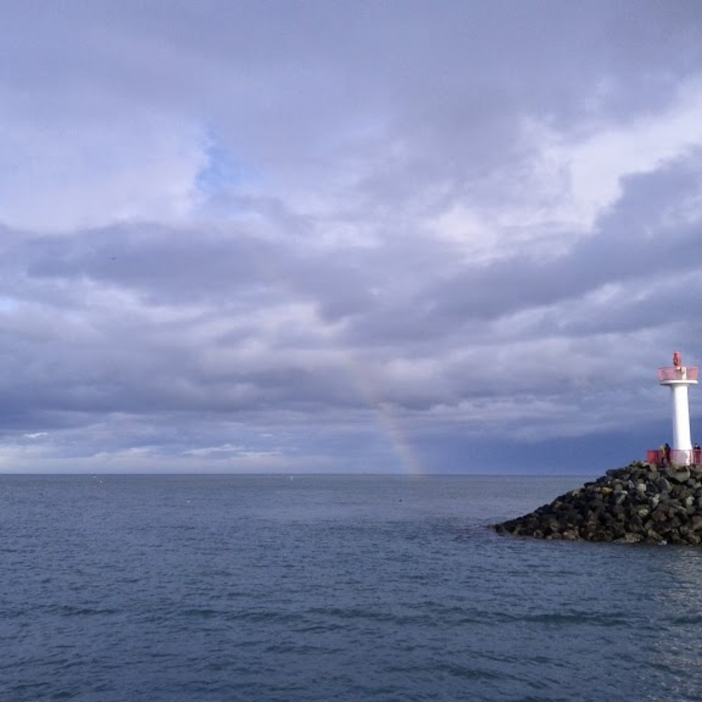 Dublin Bay Cruises - Tours Near Me - Howth, D