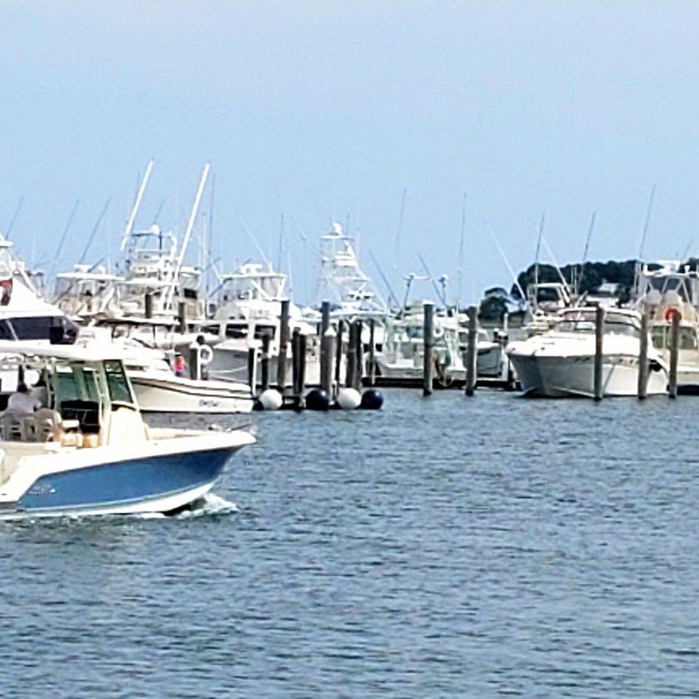 Cowfish - New American Near Me - Hampton Bays, New York Cowfish - New American Near Me - Hampton Bays, New York