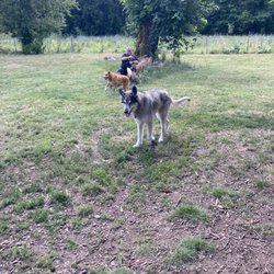 Chimney Park - Ajax with a smile on his face