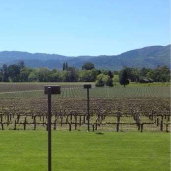 Mumm Napa - Wine Tasting Room Near Me - Rutherford, California