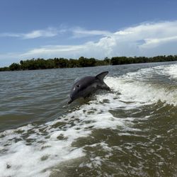 Avi's Water Sports