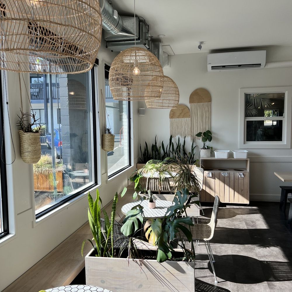 Iluka Espresso - Inside view of the bright tables and real tropical plants. - Coffee & Tea Near Me - Victoria, British Columbia Iluka Espresso - Inside view of the bright tables and real tropical plants. - Coffee & Tea Near Me - Victoria, British Columbia