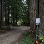 Photo of The Ramblin' Redwoods Campground