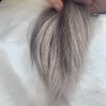 Christopher James Hair+Skin - Gray - Hair Salons Near Me - Albuquerque, New Mexico