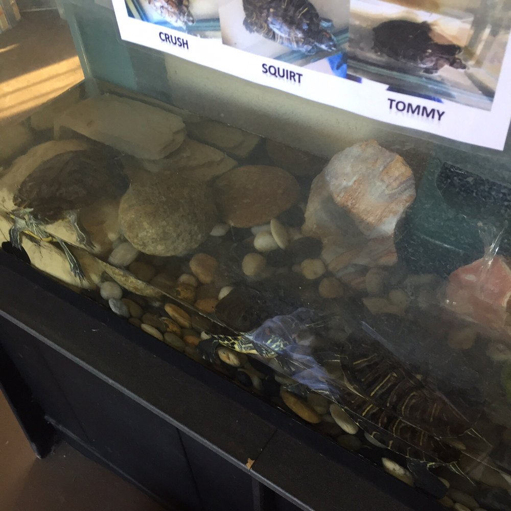 Good Shepherd Preschool - Crush, Squirt and Tommy - Preschools Near Me - Westminster, California