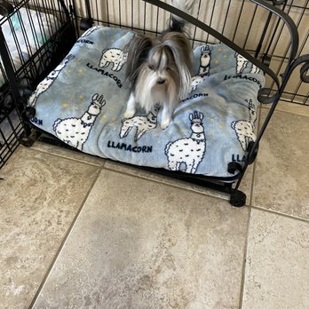 Bark & Beyond Pet Salon - Pet Groomers Near Me - Temple, Texas Bark & Beyond Pet Salon - Pet Groomers Near Me - Temple, Texas