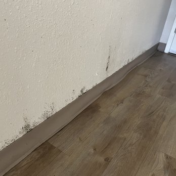 Emerald Beach Hotel - A lot of mold on the wall of our room - Hotels Near Me - Corpus Christi, Texas