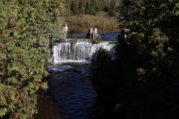 Rockwood Conservation Area by null