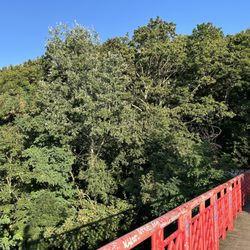 Volkspark Humboldthain