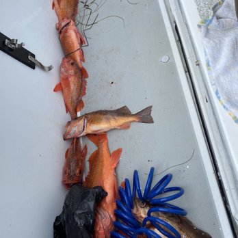 Guardian Charters - Fishing Near Me - San Diego, California