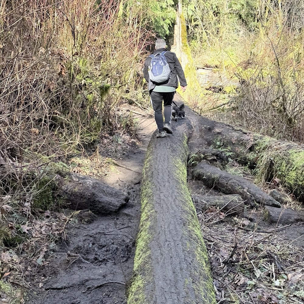 Matteo's PNW Tours - Tours Near Me - Lynnwood, Washington