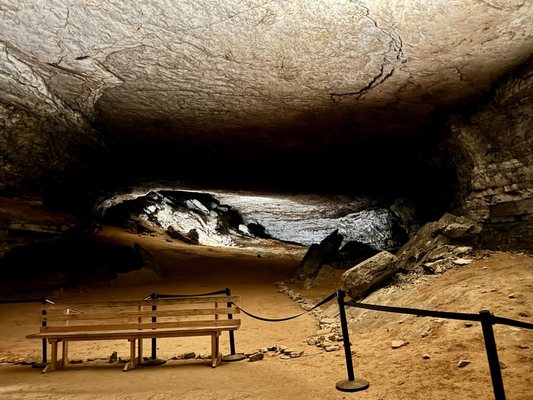 Mammoth Cave National Park by null