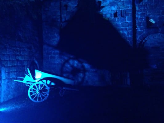 Kirkstall Abbey by null