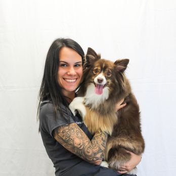 MedVet Norwalk - Veterinarians Near Me - Norwalk, Connecticut MedVet Norwalk - Veterinarians Near Me - Norwalk, Connecticut