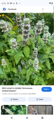 St. Michael's Cathedral Basilica by null