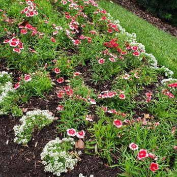 Hollis Garden - Botanical Gardens Near Me - Lakeland, Florida
