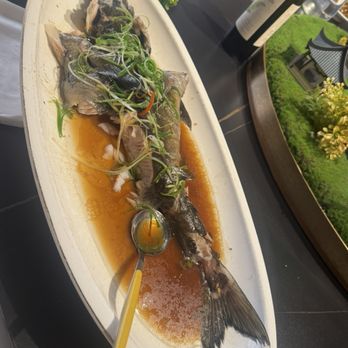 Imperial Treasure - Steamed black cod - Chinese Near Me - Palo Alto, California