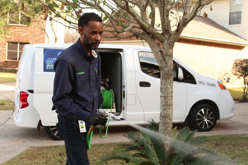 ANYTIME PEST ELIMINATION Updated October 2024 7544 Farm To Market