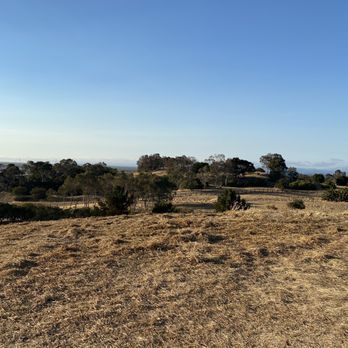 Bedwell Bayfront Park - Hiking Near Me - Menlo Park, California Bedwell Bayfront Park - Hiking Near Me - Menlo Park, California
