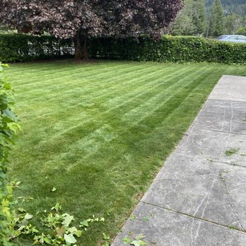 Mowjo - Lawn Services Near Me - Salem, Oregon Mowjo - Lawn Services Near Me - Salem, Oregon