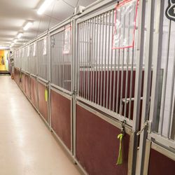 HHH Canine Lodge & Ranch