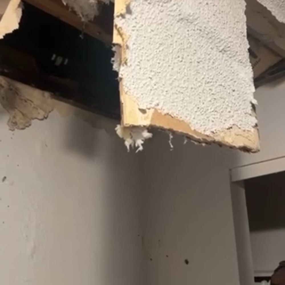 Spring Mountain Apartments - Ceiling collapsed after a rainy night, wasn't even that bad but since it was never fixed, the small amount made it fall on the baby's crib. - Apartments Near Me - Corning, California Spring Mountain Apartments - Ceiling collapsed after a rainy night, wasn't even that bad but since it was never fixed, the small amount made it fall on the baby's crib. - Apartments Near Me - Corning, California