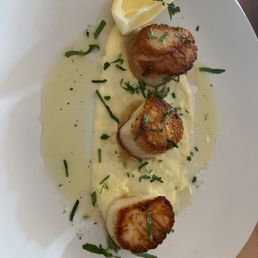 Scallops Scallops