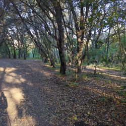 Lafayette Community Park - Beautiful morning