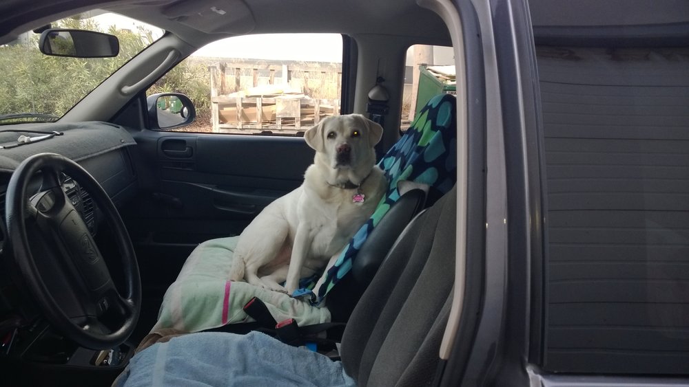 Slide of CJ West Roofing