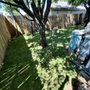 Photo of Emery Landscape Solutions