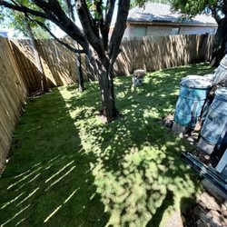 Emery Landscape Solutions - Sod install