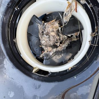 Windsor Metro West - Dirty pool - Apartments Near Me - Plano, Texas