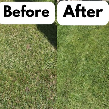 OC Poop Scoop - Pet Waste Removal Near Me - Huntington Beach, California OC Poop Scoop - Pet Waste Removal Near Me - Huntington Beach, California