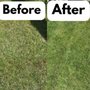 Photo of OC Poop Scoop