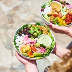 Wild Pie - Wild Coast and Greek Goddess salads