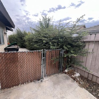 So Cal Pruners - Before pic - Tree Services Near Me So Cal Pruners - Before pic - Tree Services Near Me