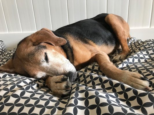 Crate Escape by null