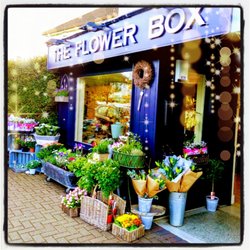 The Flower Box