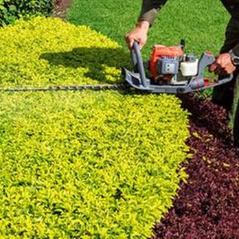 Larry's Tree Care - untitled - Tree Services Near Me - Stockton, California Larry's Tree Care - untitled - Tree Services Near Me - Stockton, California