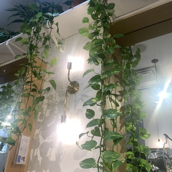 Wildflower Collective - Hair Salons Near Me - Las Vegas, Nevada Wildflower Collective - Hair Salons Near Me - Las Vegas, Nevada
