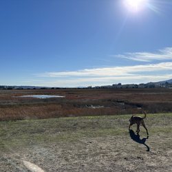 Rocky Memorial Dog Park