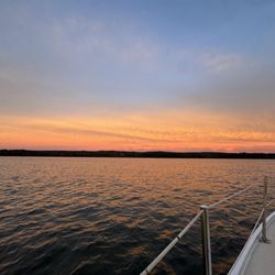 Black Swan Sailing