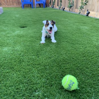 Wakasa Construction & Landscaping - Artificial Turf Near Me - Houston, Texas Wakasa Construction & Landscaping - Artificial Turf Near Me - Houston, Texas
