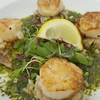 Level 11 Rooftop Bar & Lounge - Scallops - Lounges Near Me - St. Pete Beach, Florida Level 11 Rooftop Bar & Lounge - Scallops - Lounges Near Me - St. Pete Beach, Florida
