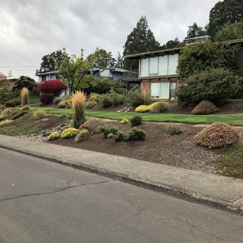 Miguel's Lawn Care - Lawn Services Near Me Miguel's Lawn Care - Lawn Services Near Me