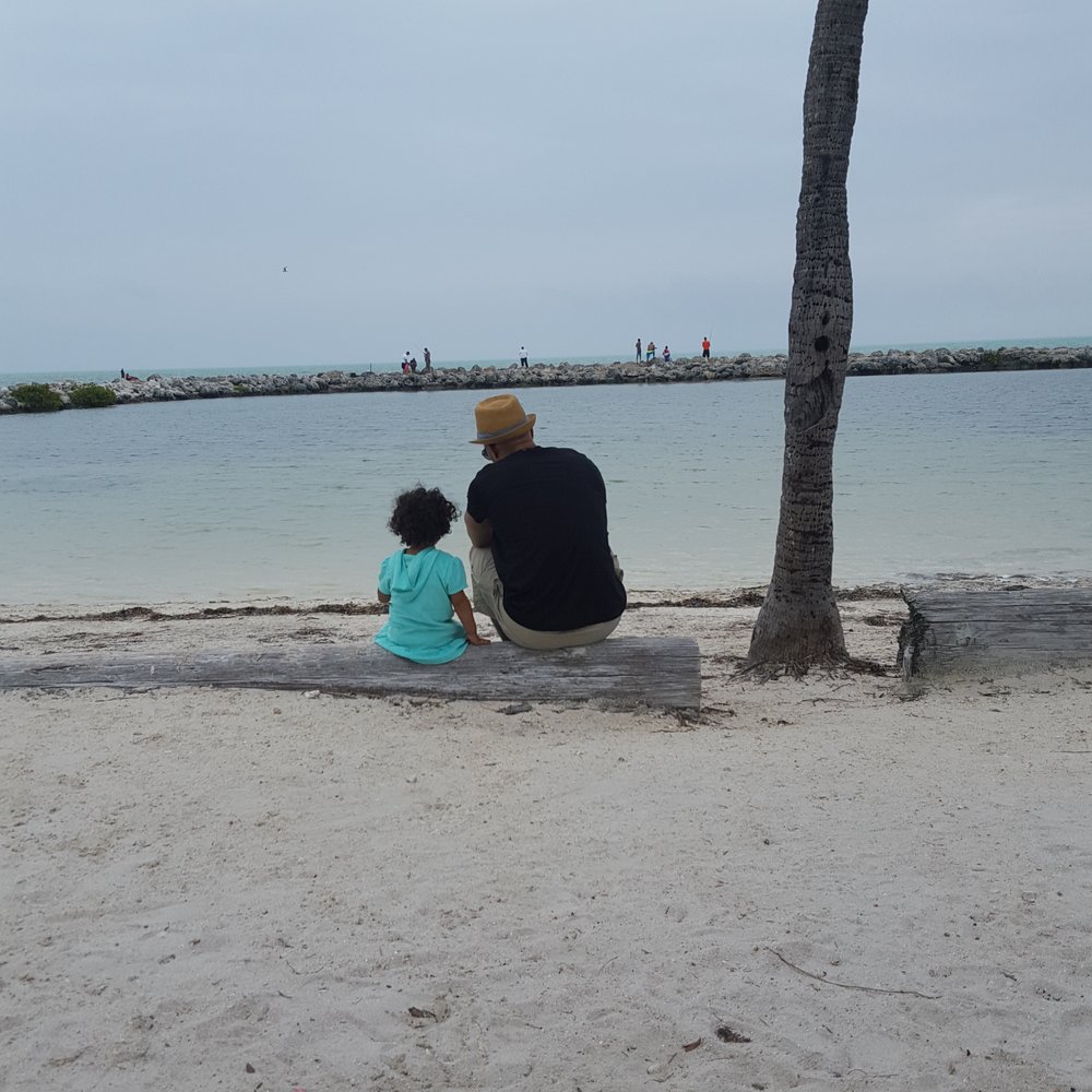 Harry Harris Park - Awesome view - Parks Near Me - Key Largo, Florida Harry Harris Park - Awesome view - Parks Near Me - Key Largo, Florida