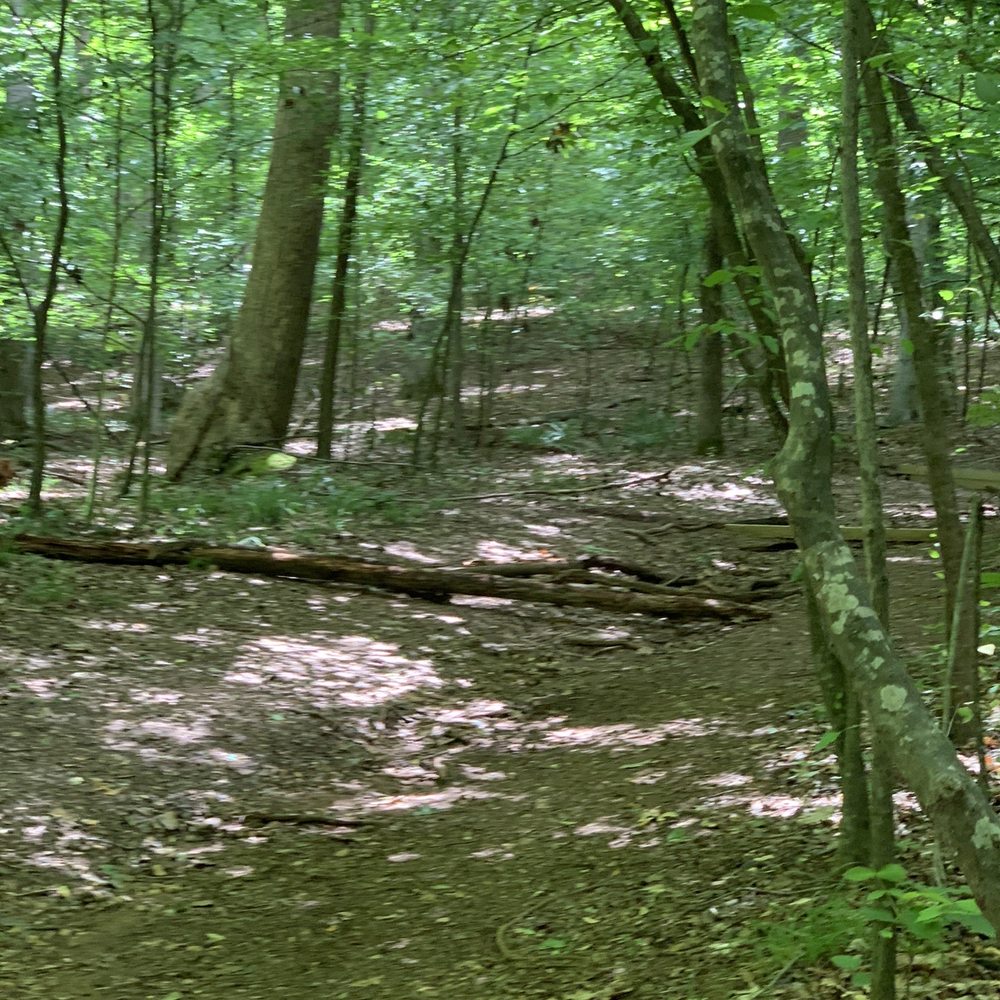 West Point on the Eno - Parks Near Me - Durham, North Carolina West Point on the Eno - Parks Near Me - Durham, North Carolina