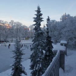 Johanneksen kenttä