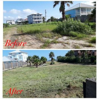 D&J Tree Services - Before & after - Tree Services Near Me D&J Tree Services - Before & after - Tree Services Near Me